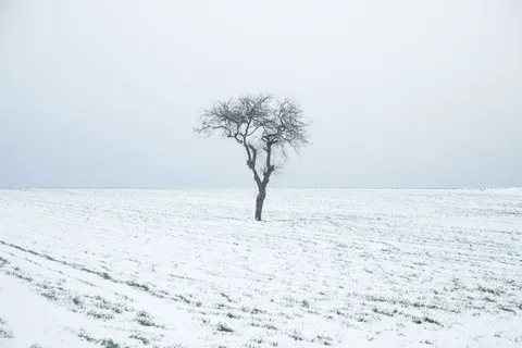 雪原 4K壁紙 · minimal · 3840×2560