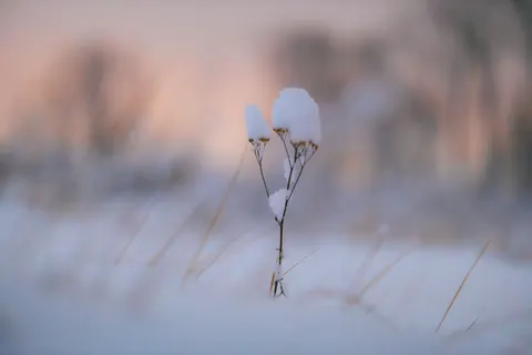 Snow Field 4K Wallpaper · minimal · 3840×2560