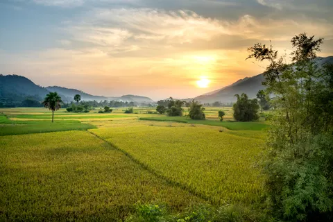 Fond d'écran Champ de campagne 4K · nature · 3840×2561