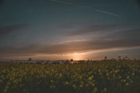 خلفية حقل ريفي بدقة 4K · nature · 3840×2560