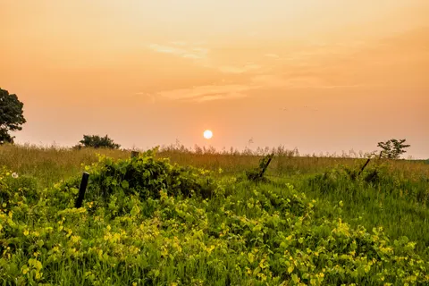 Countryside Field 4K Wallpaper · nature · 3840×2560