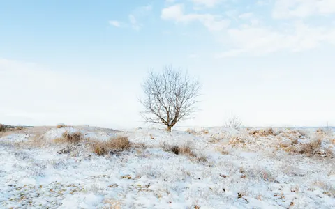Snow Field 4K Wallpaper · minimal · 3840×2400