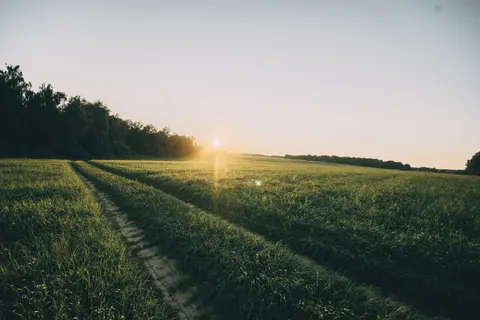 Countryside Field 4K Wallpaper · nature · 3840×2560