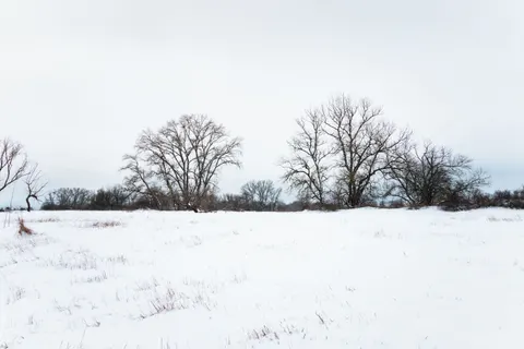 Snow Field 4K Wallpaper · minimal · 3840×2560