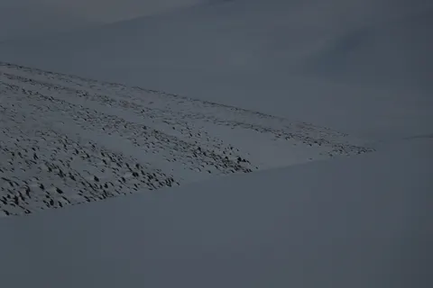 Snow Field 4K Wallpaper · minimal · 3840×2560
