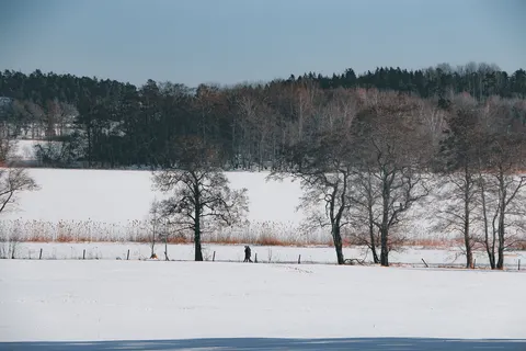Snow Field 4K Wallpaper · minimal · 3840×2560