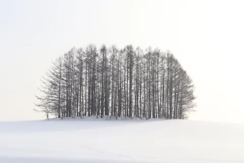 Snow Field 4K Wallpaper · minimal · 3840×2560