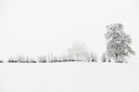 Snow Field 4K Wallpaper · minimal · 3840×2560