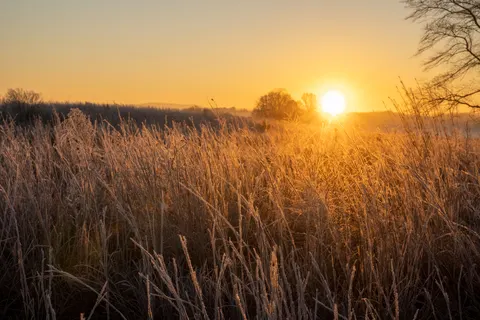 Обои Сельское поле 4K · nature · 3840×2560