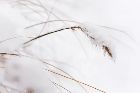 Snow Field 4K Wallpaper · minimal · 3840×2563