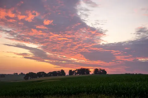 خلفية حقل ريفي بدقة 4K · nature · 3840×2560