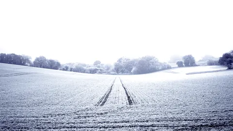 Papel de parede Campo de Neve 4K · minimal · 3840×2159
