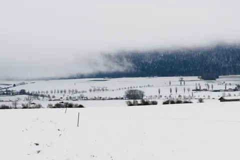Sfondo Campo Innevato 4K · minimal · 3840×2558
