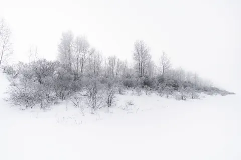 Snow Field 4K Wallpaper · minimal · 3840×2560