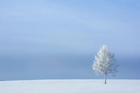 Snow Field 4K Wallpaper · minimal · 3840×2560