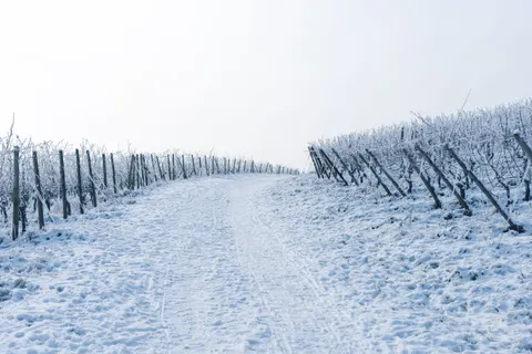 Snow Field 4K Wallpaper · minimal · 3840×2560