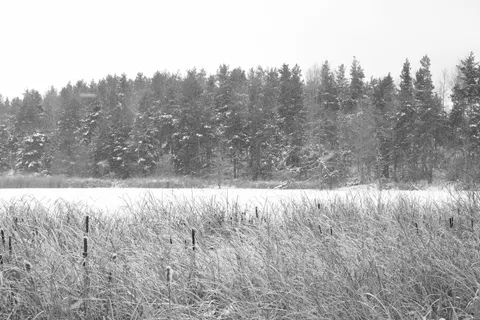 Snow Field 4K Wallpaper · minimal · 3840×2560