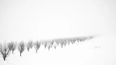 Snow Field 4K Wallpaper · minimal · 3840×2160