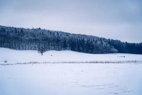 والپیپر دشت برفی با کیفیت 4K · minimal · 3840×2560