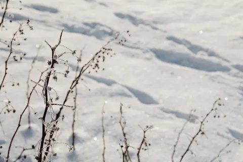 Snow Field 4K Wallpaper · minimal · 3840×2560