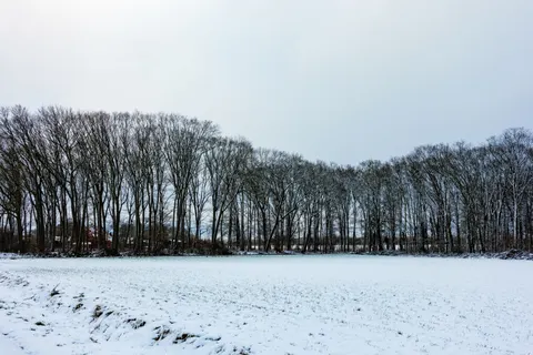 Snow Field 4K Wallpaper · minimal · 3840×2560