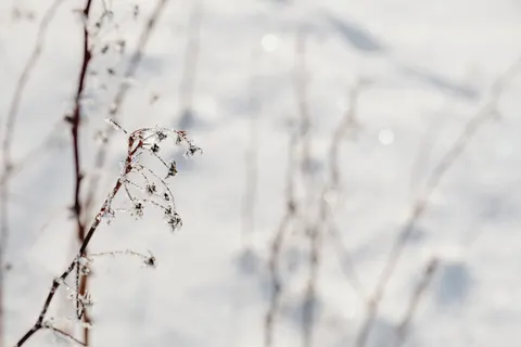 Snow Field 4K Wallpaper · minimal · 3840×2560