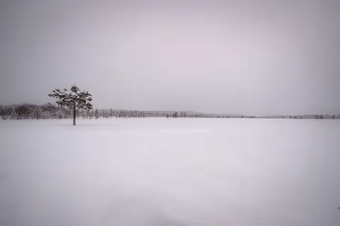 Kar Tarlası 4K Duvar Kağıdı · minimal · 3840×2560