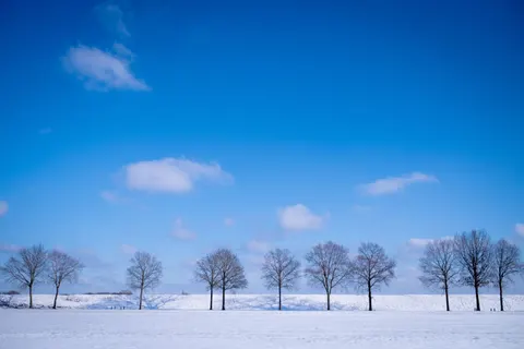 والپیپر دشت برفی با کیفیت 4K · minimal · 3840×2560