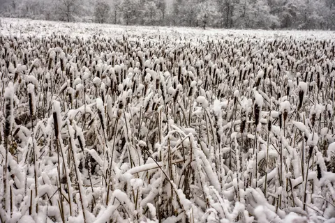 Snow Field 4K Wallpaper · minimal · 3840×2560