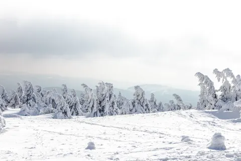 Snow Field 4K Wallpaper · minimal · 3840×2560