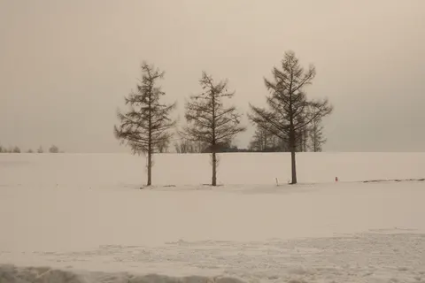 Snow Field 4K Wallpaper · minimal · 3840×2560
