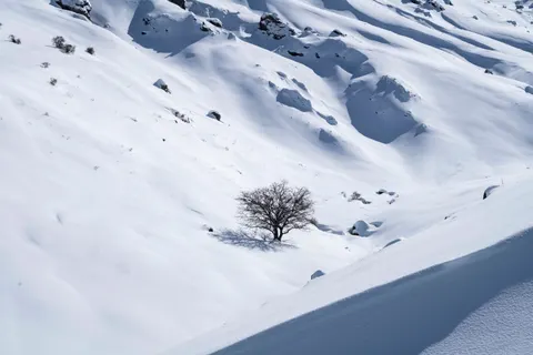 Sfondo Campo Innevato 4K · minimal · 3840×2560