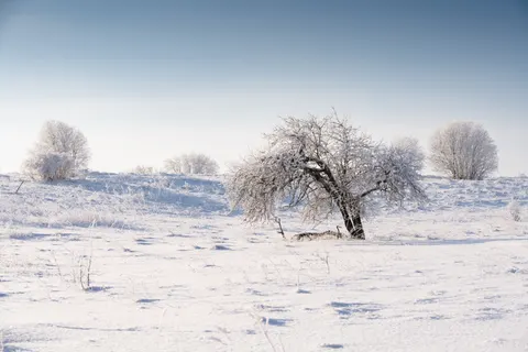 Snow Field 4K Wallpaper · minimal · 3840×2560
