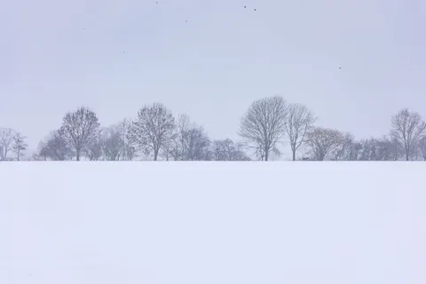 Snow Field 4K Wallpaper · minimal · 3840×2560