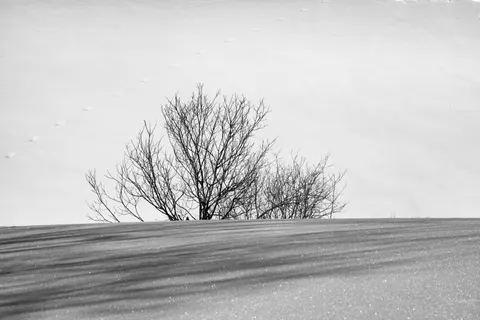 Sfondo Campo Innevato 4K · minimal · 3840×2561