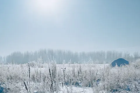 Snow Field 4K Wallpaper · minimal · 3840×2560