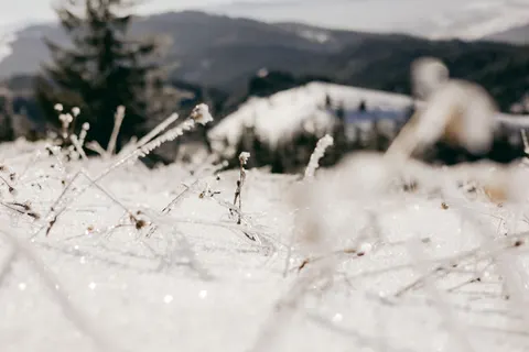 Sfondo Campo Innevato 4K · minimal · 3840×2560