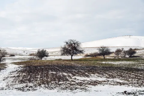 Snow Field 4K Wallpaper · minimal · 3840×2562