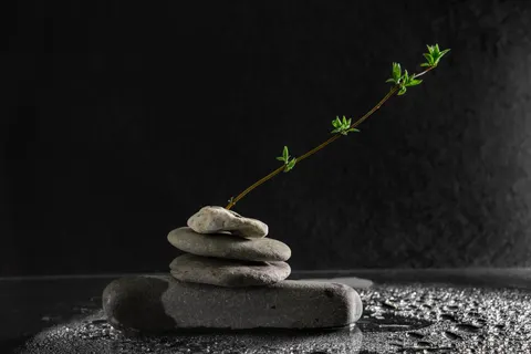 Fond d'écran Pierres zen 4K · minimal · 3840×2561