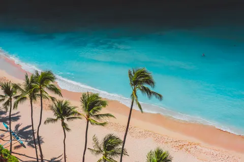Обои Тропический пляж 4K · ocean · 3840×2558