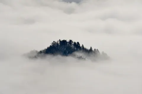 Sisli Koru 4K Duvar Kağıdı · minimal · 3840×2563