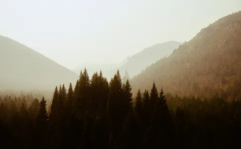 धुंध भरा जंगल 4K वॉलपेपर · minimal · 3840×2373