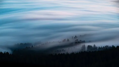 안개 낀 숲 4K 배경화면 · minimal · 3840×2160