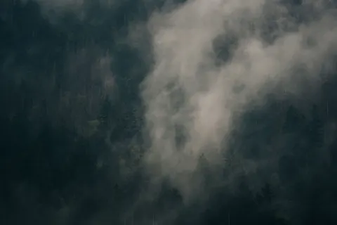 والپیپر جنگل مه‌گرفته با کیفیت 4K · minimal · 3840×2560