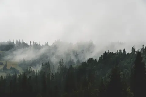 धुंध भरा जंगल 4K वॉलपेपर · minimal · 3840×2560
