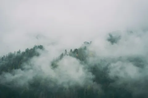 Sisli Koru 4K Duvar Kağıdı · minimal · 3840×2561