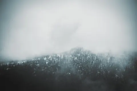 والپیپر جنگل مه‌گرفته با کیفیت 4K · minimal · 3840×2560