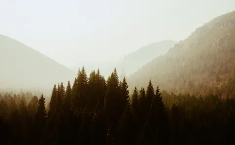 Sisli Koru 4K Duvar Kağıdı · minimal · 3840×2373
