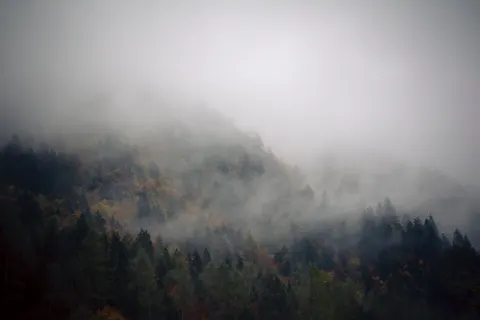 안개 낀 숲 4K 배경화면 · minimal · 3840×2560