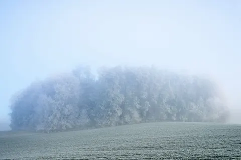 안개 낀 숲 4K 배경화면 · minimal · 3840×2560